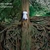 The Mars Volta - The Widow