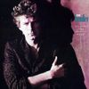 Don Henley - Building The Perfect Beast