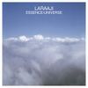 Laraaji - Essence/Universe