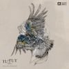 Tut Tut Child - Come to the End; Then Stop