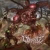 Wormhole - The Weakest Among Us