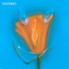 Moaning - Uneasy Laughter