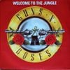 Guns N' Roses - Welcome to the Jungle