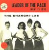 The Shangri-Las - Leader of the Pack