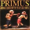 Primus - Animals Should Not Try To Act Like People