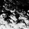 Grouper & Roy Montgomery - Roy Montgomery / Grouper
