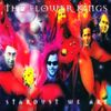 The Flower Kings - Stardust We Are
