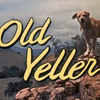 Joji - old yeller