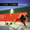 Liam Lynch - Fake Songs