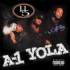 11/5 - A-1 Yola