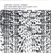 transient stellar - rkodr