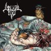 Immortal Bird - Akrasia