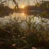Greg Foat & James Thorpe - Photosynthesis