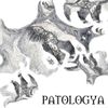 Koza - Patologya