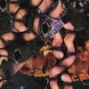 Psychic TV - Origin of the Species Volume Too!