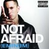 Eminem - Not Afraid
