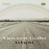 Vincent Gallo - When