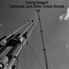 Young Seagull - Catharsis, and Other Ghost Stories