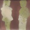 Celer - Sunlir / Scols