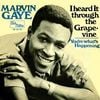 Marvin Gaye - I Heard It Through the Grapevine
