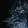 r beny - Natural Fiction