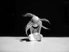an assemblage / construct for 45 voices