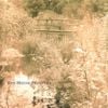 Red House Painters - Red House Painters (Bridge)