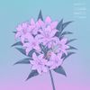 tofubeats - TBEP