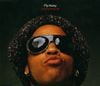 Lenny Kravitz - Fly Away