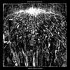 Broken Note - Exit the Void