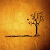 Jon Foreman - Fall