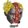 Chris Brown & Young Thug - Slime & B