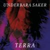 Underbara Saker