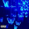 Yung Dior - WAITING ON THE BUTTERFLY