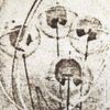 Éliane Radigue - Feedback Works 1969-1970