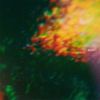 EDEN - Peaked
