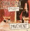Pavement - Summer Babe (Winter Version)