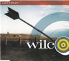 Wilco - A Shot in the Arm
