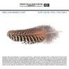 The Appleseed Cast - Low Level Owl: Volume I