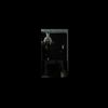 Polymelia - Requiem No One