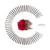 coldrain - FATELESS