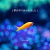 S A K I 夢 - 夢の中で失われました