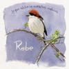 Robe - Lo que Aletea en Nuestras Cabezas