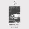 Marvin Gaye - Sexual Healing (Kygo Remix)