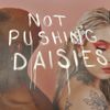 &Auml;ngie & Harrison First - Not Pushing Daisies