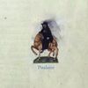 Celer - Poulaine