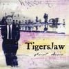 Tigers Jaw - Spirit Desire