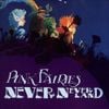 Pink Fairies - Never-Neverland