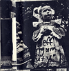 Neutral Milk Hotel - Beauty