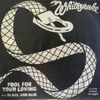 Fool for Your Loving
